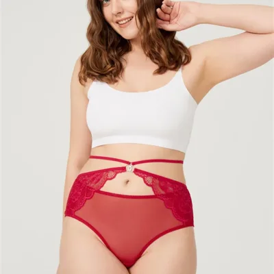 Culotte de bikini  grande taille en tulle devant et dos en dentelle — lingerie de luxe Pour L