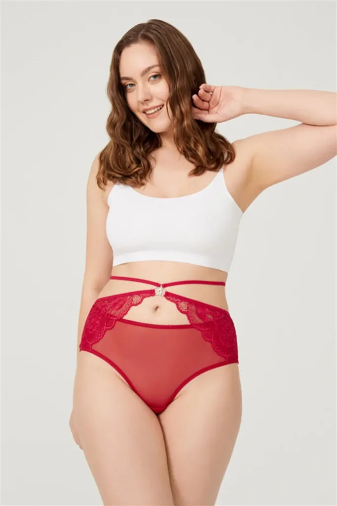 Culotte de bikini grande taille en tulle devant et dos en dentelle