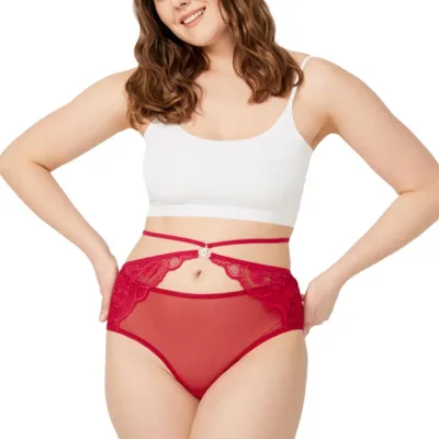 Culotte de bikini  grande taille en tulle devant et dos en dentelle — Pour L lingerie de luxe