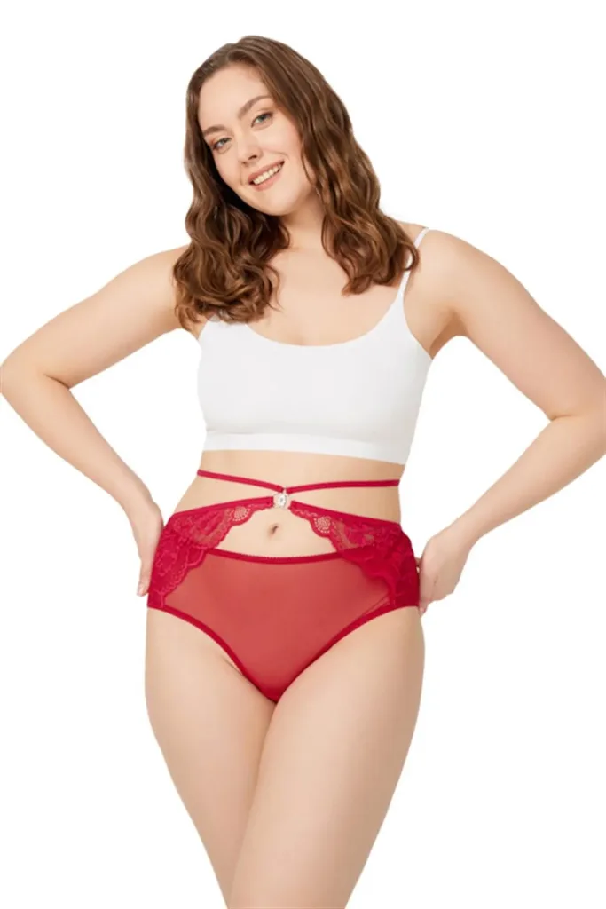 Culotte de bikini  grande taille en tulle devant et dos en dentelle — Pour L lingerie de luxe