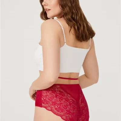 Culotte de bikini  grande taille en tulle devant et dos en dentelle — Pour L lingerie de luxe