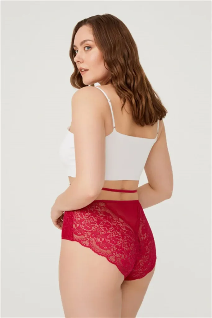 Culotte de bikini  grande taille en tulle devant et dos en dentelle — Pour L lingerie de luxe