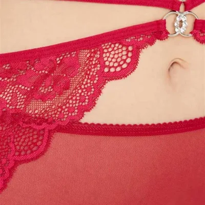 Culotte de bikini  grande taille en tulle devant et dos en dentelle — Pour L lingerie de luxe
