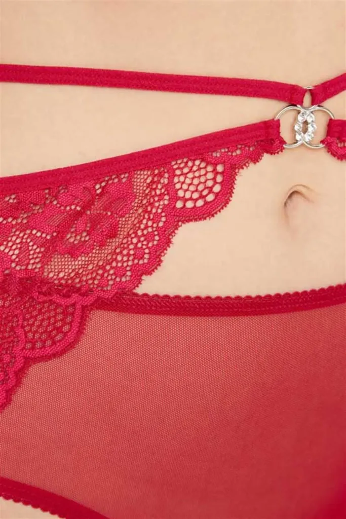 Culotte de bikini  grande taille en tulle devant et dos en dentelle — Pour L lingerie de luxe