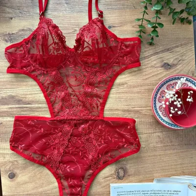 Bodysuite en dentelle transparent — lingerie de luxe Pour L