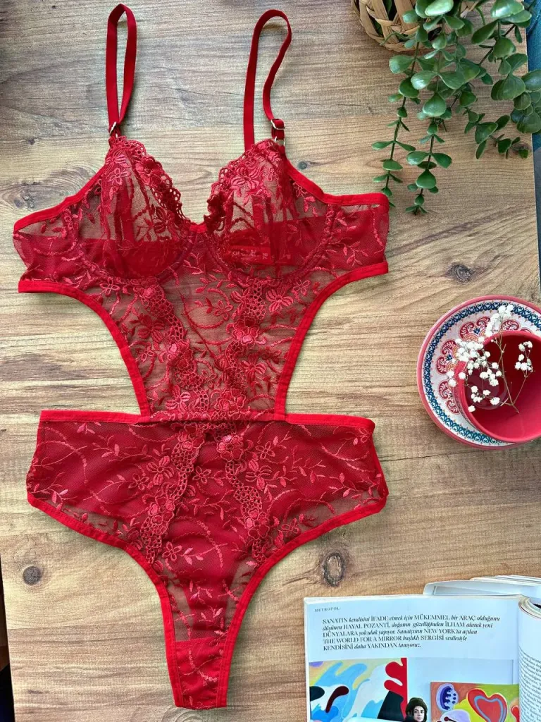 Bodysuite en dentelle transparent — Pour L lingerie de luxe